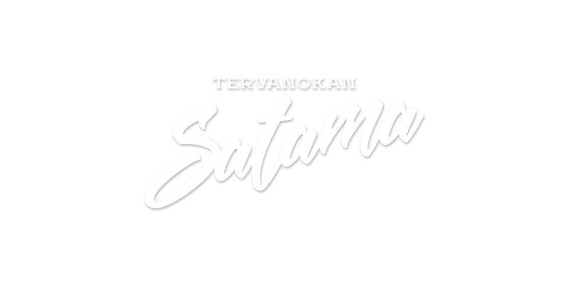 Tervanokan satama